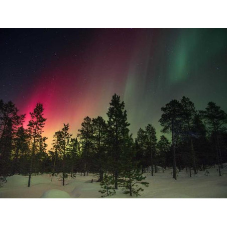 Intelligent Linen Lamp fr-FR